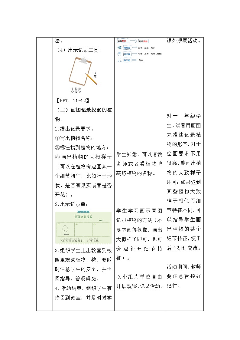 1.6 校园里的植物 教案 科学教科版（2024）一年级上册第一单元第3页