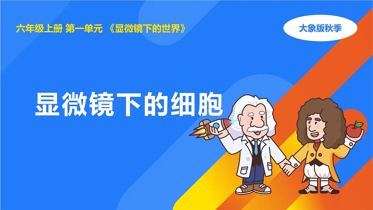 2025年秋大象版六年级科学上册 1.1显微镜下的细胞(课件)第1页
