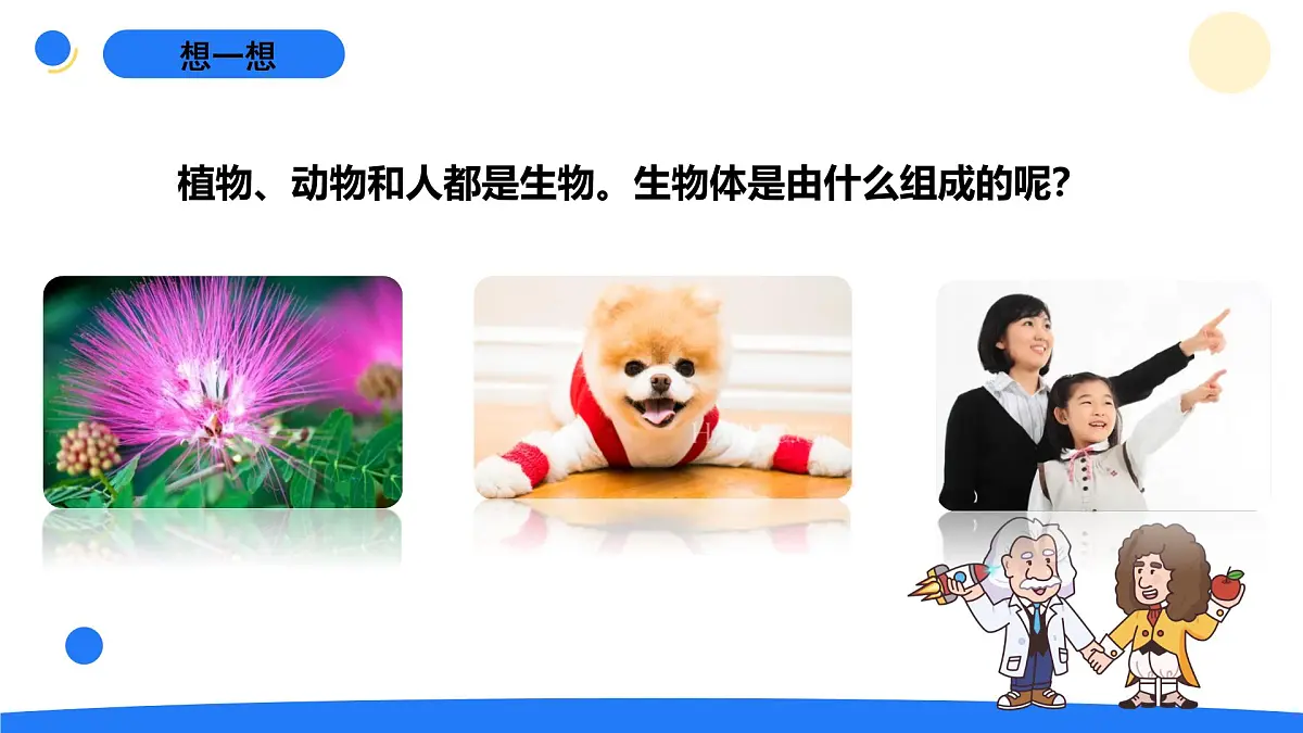 2025年秋大象版六年级科学上册 1.1显微镜下的细胞(课件)第2页