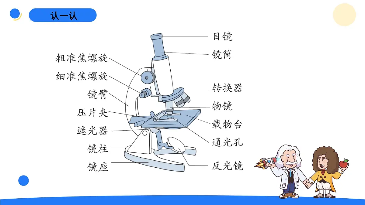2025年秋大象版六年级科学上册 1.1显微镜下的细胞(课件)第4页