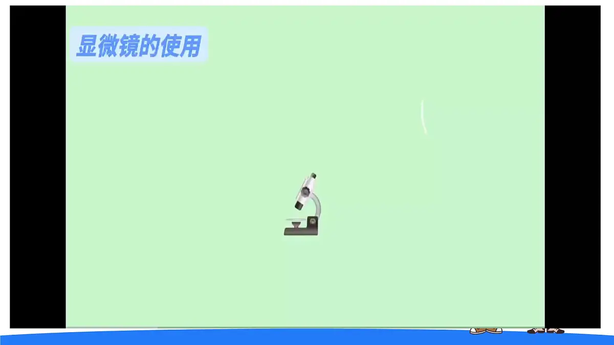 2025年秋大象版六年级科学上册 1.1显微镜下的细胞(课件)第5页
