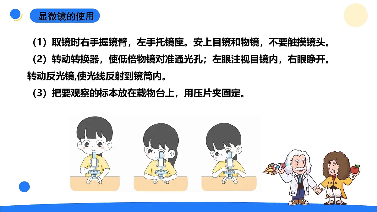 2025年秋大象版六年级科学上册 1.1显微镜下的细胞(课件)第6页