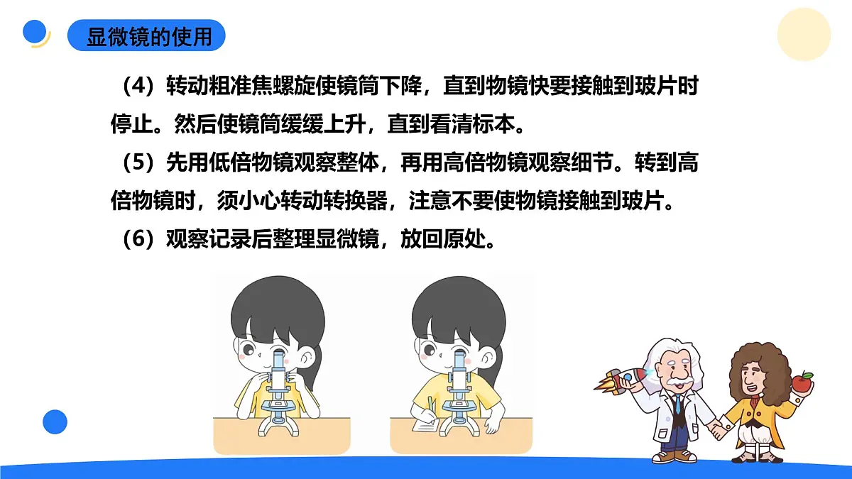 2025年秋大象版六年级科学上册 1.1显微镜下的细胞(课件)第7页