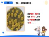 2025年秋大象版六年級科學(xué)上冊 1.2發(fā)面的秘密(課件)