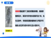 2025年秋大象版六年級科學(xué)上冊 4.4 追根溯源 (課件)