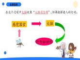 2025年秋大象版五年級科學上冊 2.3人體司令部(課件)