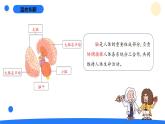 2025年秋大象版五年級科學上冊 2.4腦的保健(課件)