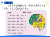 2025年秋大象版五年級科學上冊 2.4腦的保健(課件)