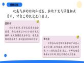 2025年秋大象版五年級科學上冊 2.4腦的保健(課件)
