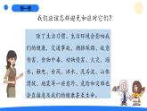 2025年秋大象版五年級(jí)科學(xué)上冊(cè) 3.4我是小小安全員(課件)