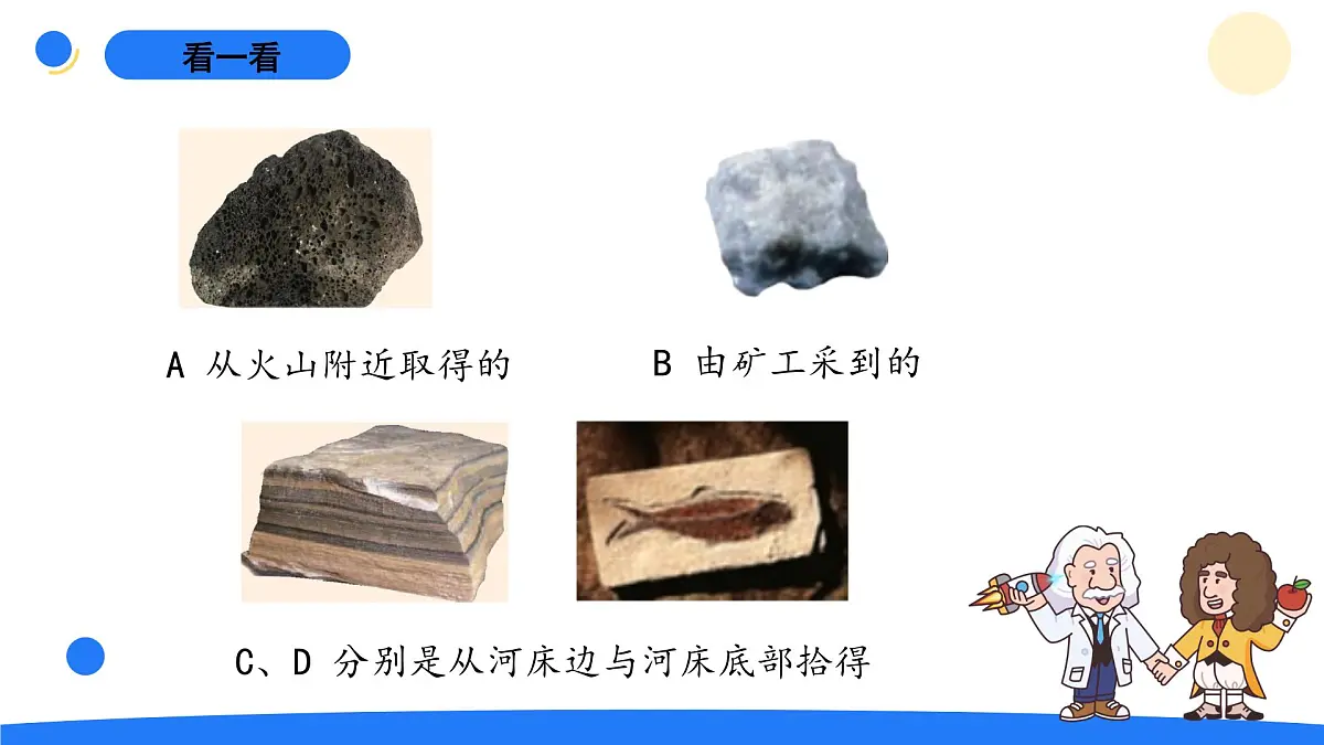 2025年秋大象版五年级科学上册 4.3地壳中的岩石(课件)第3页