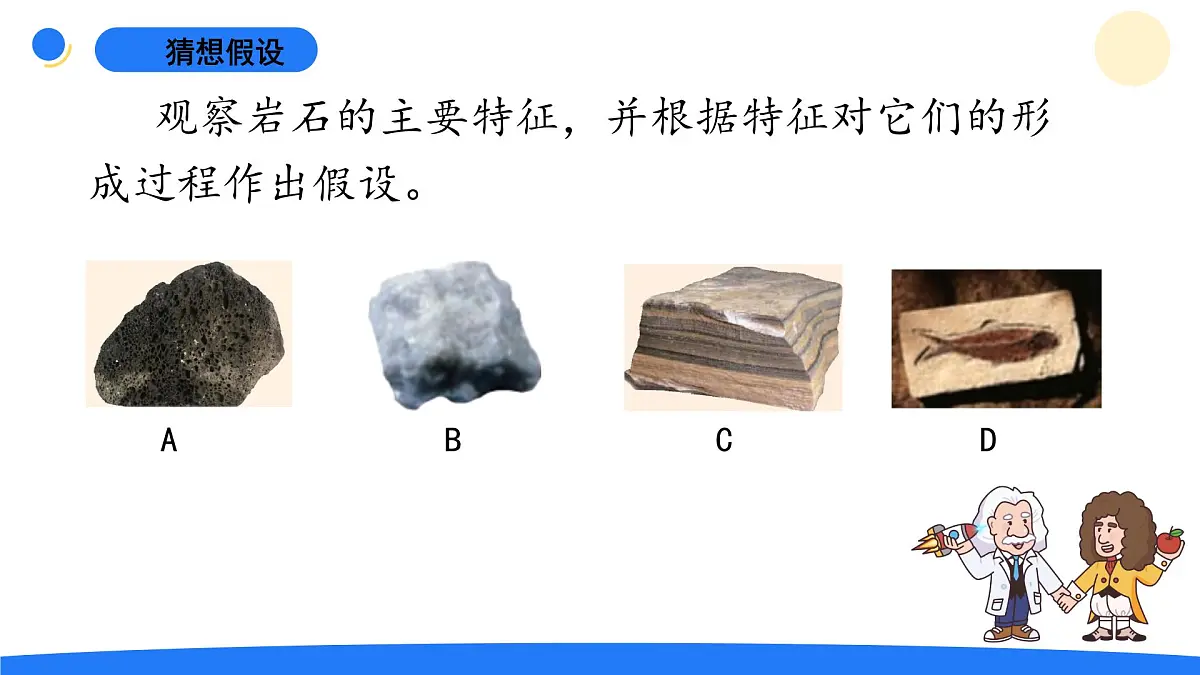 2025年秋大象版五年级科学上册 4.3地壳中的岩石(课件)第4页