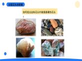 2025年秋大象版四年級科學上冊 2.1玩石頭(課件)