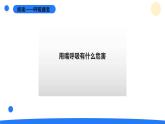 2025年秋大象版四年級科學上冊 4.2我們的呼吸器官(課件)
