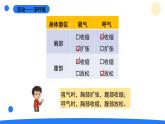 2025年秋大象版四年級科學(xué)上冊 4.3肺是怎樣呼吸的(課件)