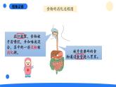 2025年秋大象版四年級(jí)科學(xué)上冊(cè) 5.1一次神奇的旅行(課件)