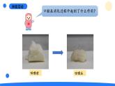 2025年秋大象版四年級科學上冊 5.2口腔“歷險記”(課件)