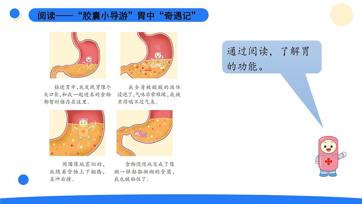 2025年秋大象版四年级科学上册 5.3胃中“奇遇记”(课件)第3页