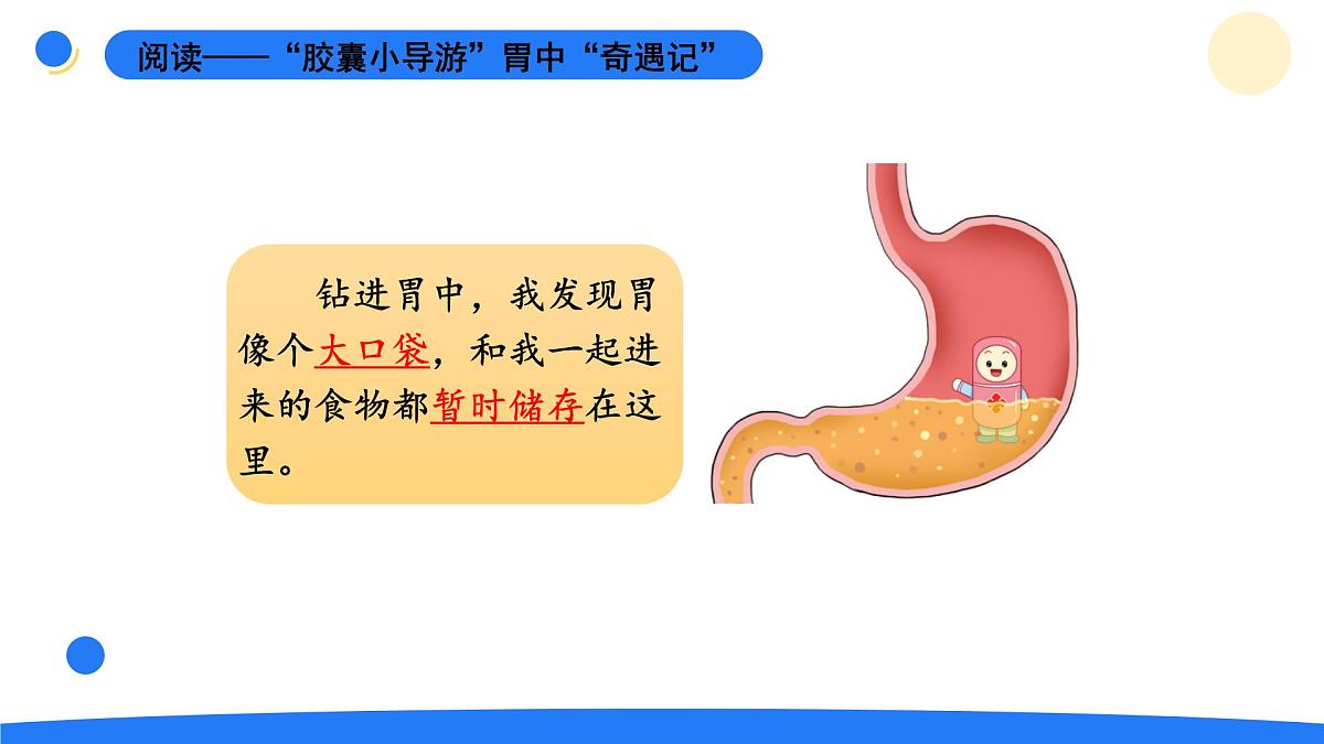 2025年秋大象版四年级科学上册 5.3胃中“奇遇记”(课件)第4页