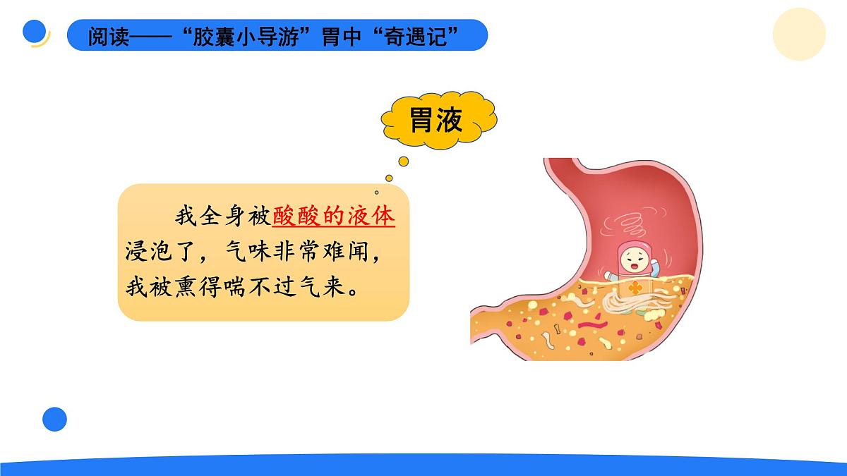 2025年秋大象版四年级科学上册 5.3胃中“奇遇记”(课件)第5页