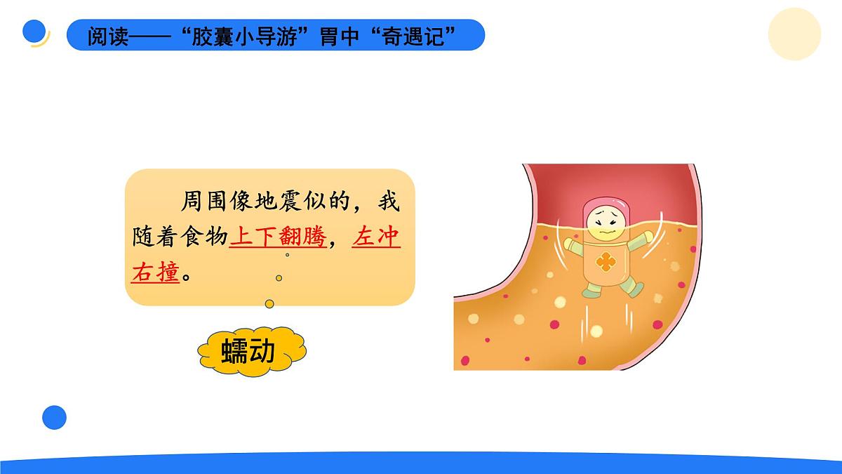 2025年秋大象版四年级科学上册 5.3胃中“奇遇记”(课件)第6页