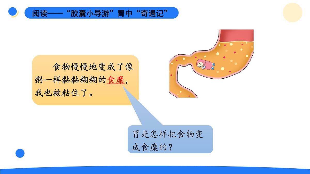 2025年秋大象版四年级科学上册 5.3胃中“奇遇记”(课件)第7页
