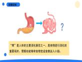 2025年秋大象版四年級科學上冊 5.4蜿蜒的旅行(課件)