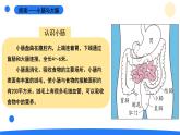 2025年秋大象版四年級科學上冊 5.4蜿蜒的旅行(課件)