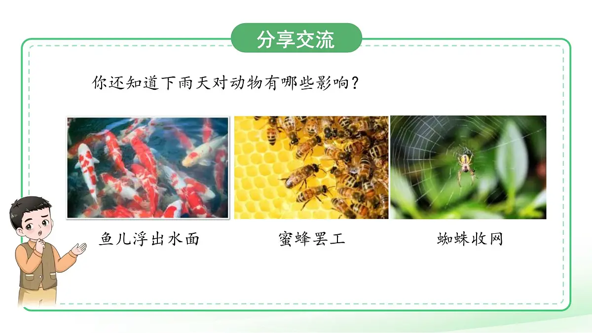 第13课 天气与动植物 课件 小学科学青岛版五四制（2024）一年级下册第三单元第7页