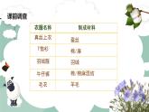 小學(xué)科學(xué)青島版五四制二上第四單元13課《我們的衣服》 課件