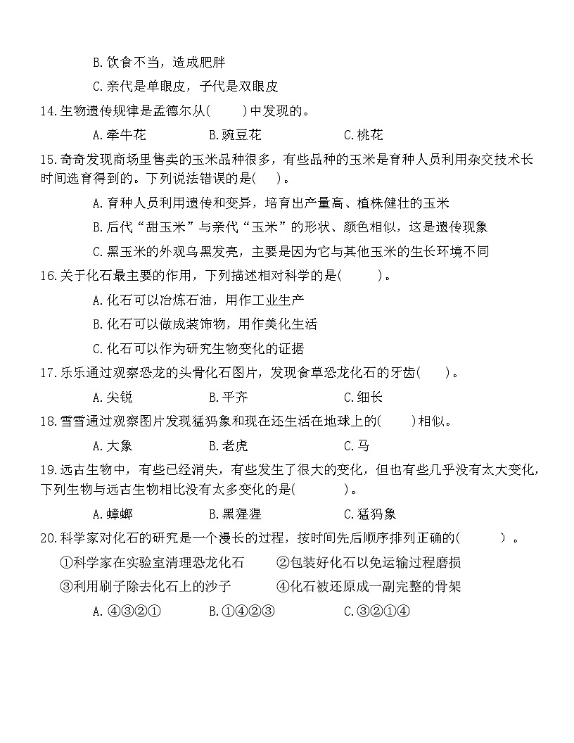 广东省梅州市2024-2025学年六年级上册苏教版科学“期中模拟测试”（含答案）第3页