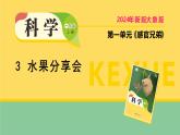 2025年秋大象版一年級(jí)科學(xué)上冊(cè) 3 水果分享會(huì)（課件）