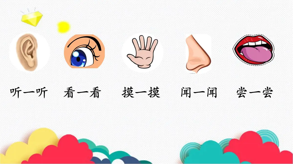 2025年秋大象版一年级科学上册 3 水果分享会（课件）第4页