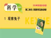 2025年秋大象版一年級科學(xué)上冊 1 觀察兔子（課件）