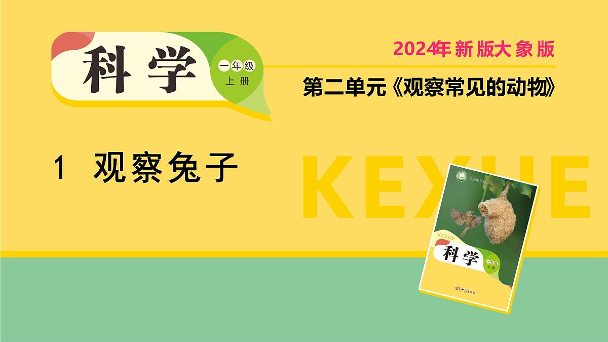 2025年秋大象版一年级科学上册 1 观察兔子（课件）第1页