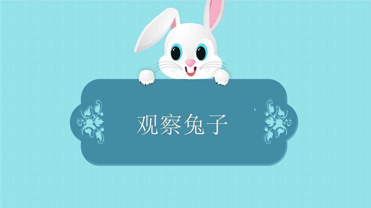 2025年秋大象版一年级科学上册 1 观察兔子（课件）第4页