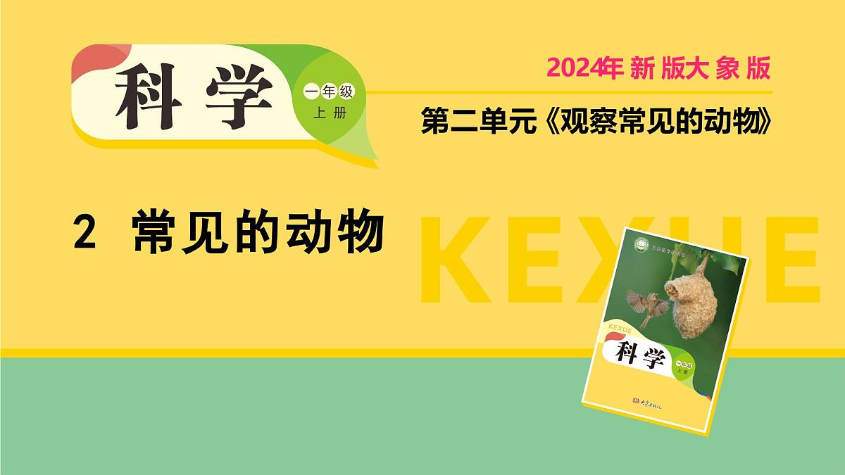 2025年秋大象版一年级科学上册 2 常见的动物（课件）第1页