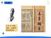 2025年秋大象版四年級科學(xué)上冊 反思單元 李時珍與《本草綱目》(課件)