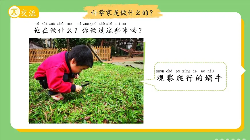 1.1 小小科学家 课件 科学苏教版新课标（2024）一年级上册教案第3页