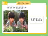1.1  小小科學(xué)家 課件 科學(xué)蘇教版新課標(biāo)（2024）一年級(jí)上冊(cè)教案
