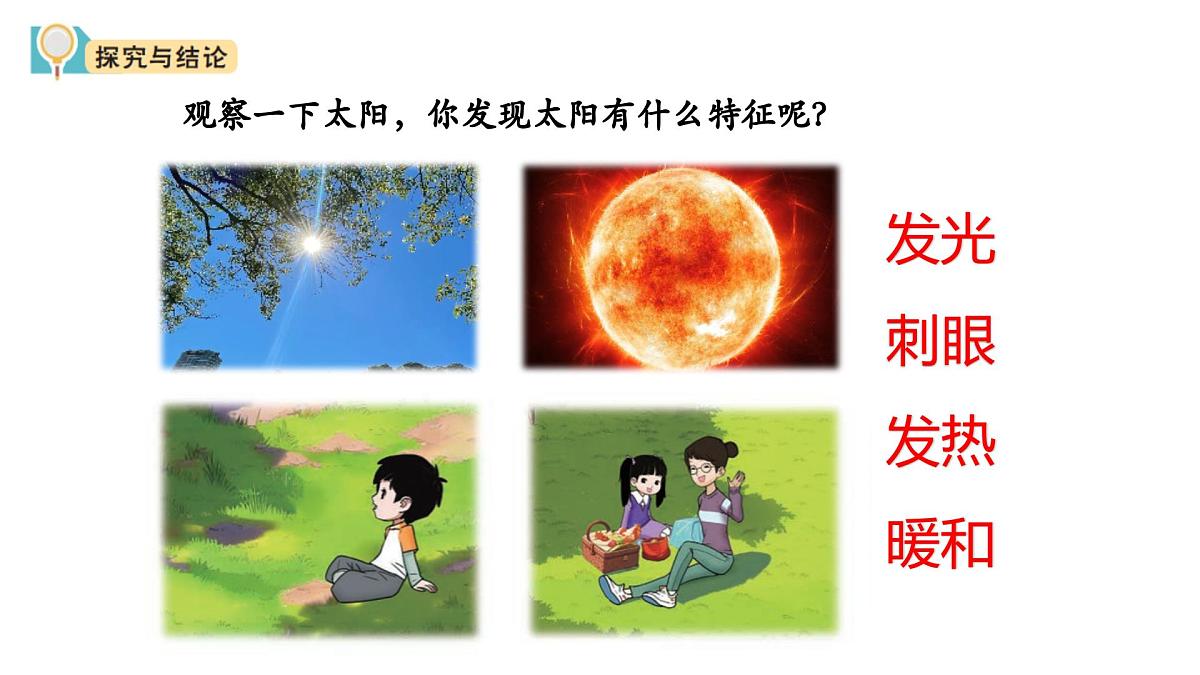 2025年秋大象版一年级科学上册 3 白天与夜晚（课件）第6页