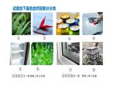 2025年秋人教鄂教版六年級科學(xué)上冊 9.露和霜（課件）