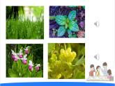 2025年秋人教鄂教版六年級(jí)科學(xué)上冊(cè) 16.走進(jìn)植物工廠（課件）