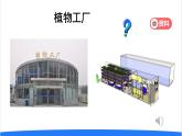 2025年秋人教鄂教版六年級(jí)科學(xué)上冊(cè) 16.走進(jìn)植物工廠（課件）