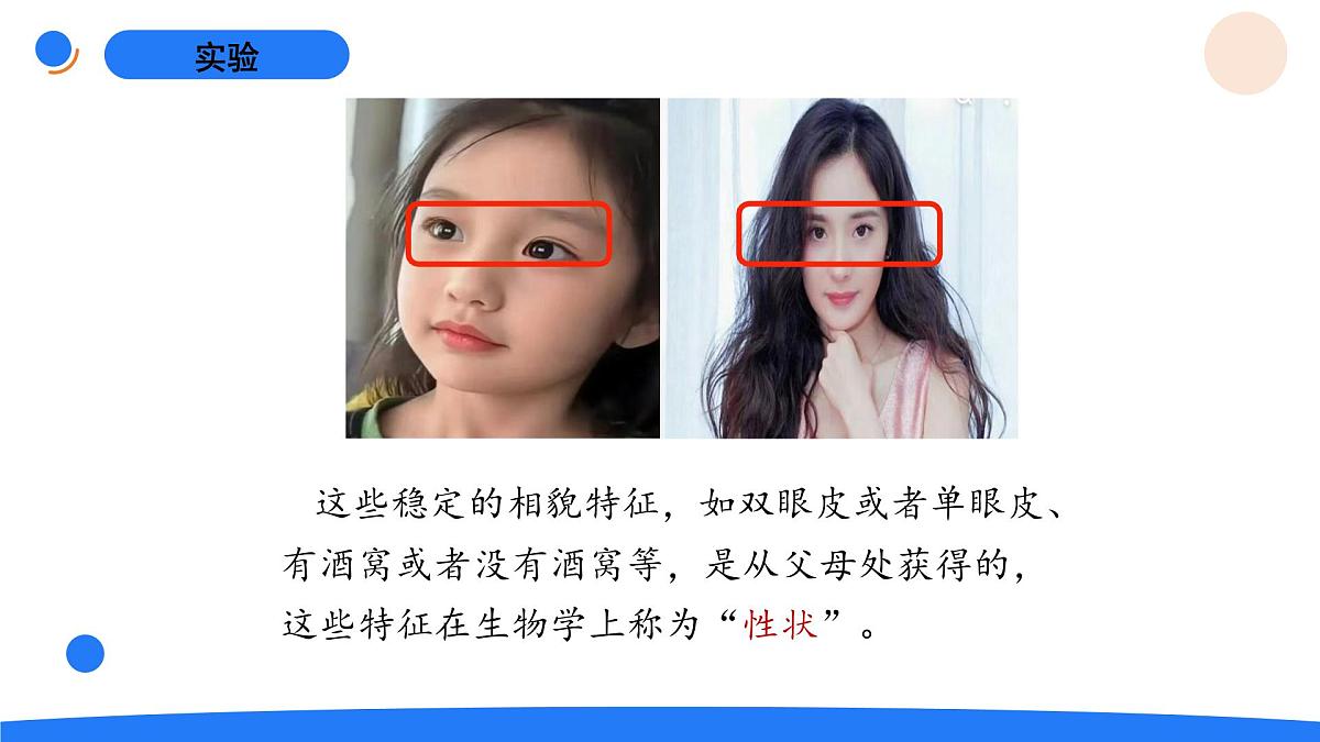 2025年秋人教鄂教版五年级科学上册 5.孩子与父母（课件）第7页