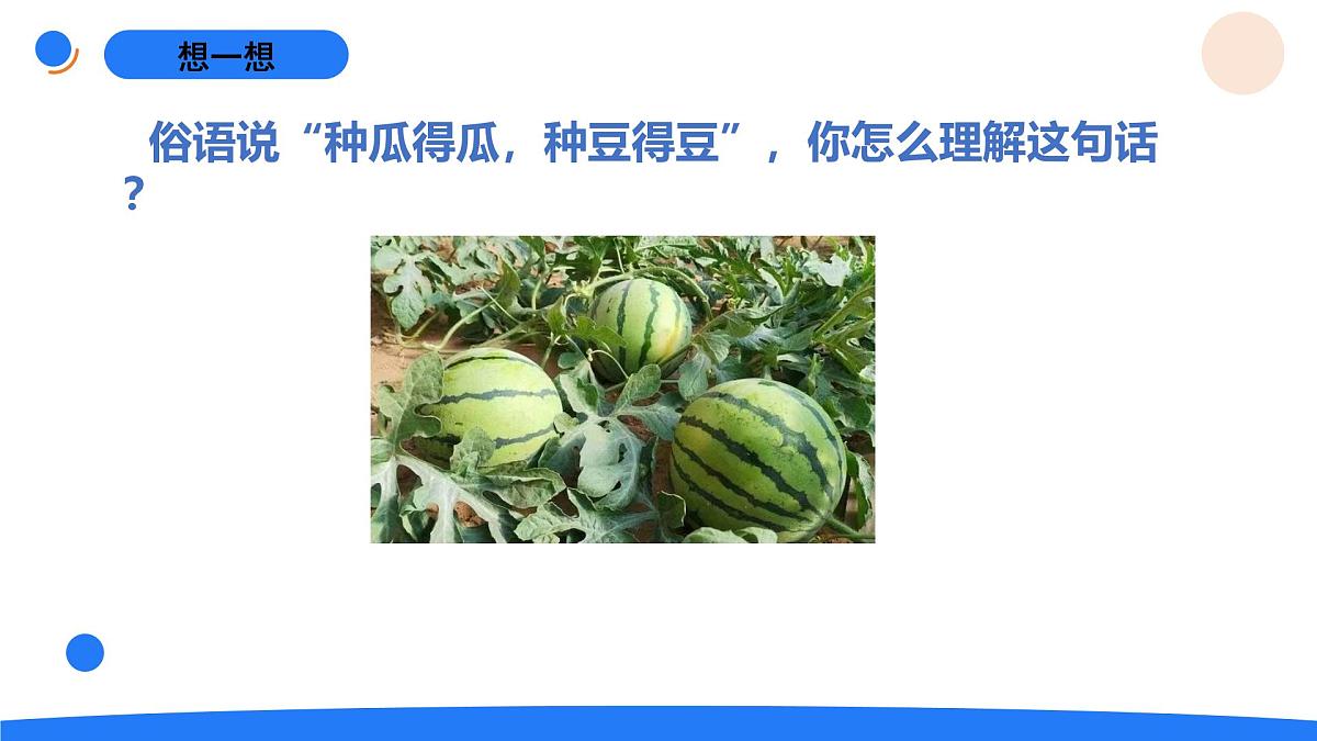2025年秋人教鄂教版五年级科学上册 6.植物的后代与亲代（课件）第2页