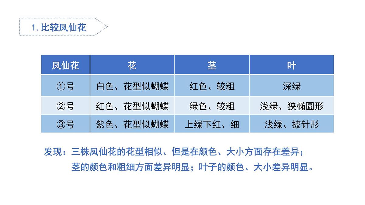 2025年秋人教鄂教版五年级科学上册 6.植物的后代与亲代（课件）第4页