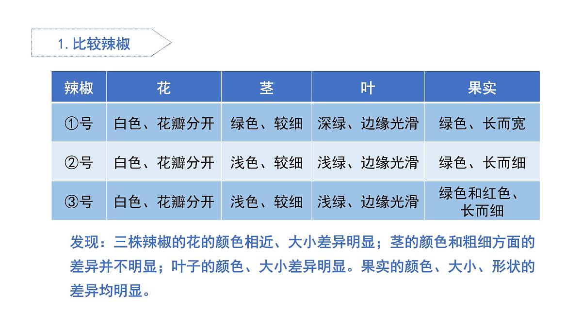 2025年秋人教鄂教版五年级科学上册 6.植物的后代与亲代（课件）第7页