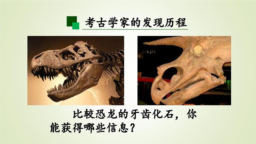 2025年秋人教鄂教版五年级科学上册 7.灭绝的远古动物（课件）第3页