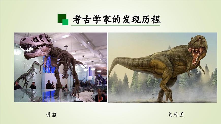 2025年秋人教鄂教版五年级科学上册 7.灭绝的远古动物（课件）第4页